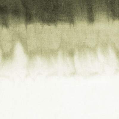 Óleo tierra sobre lino