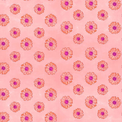 flores desierto Atacama rosado